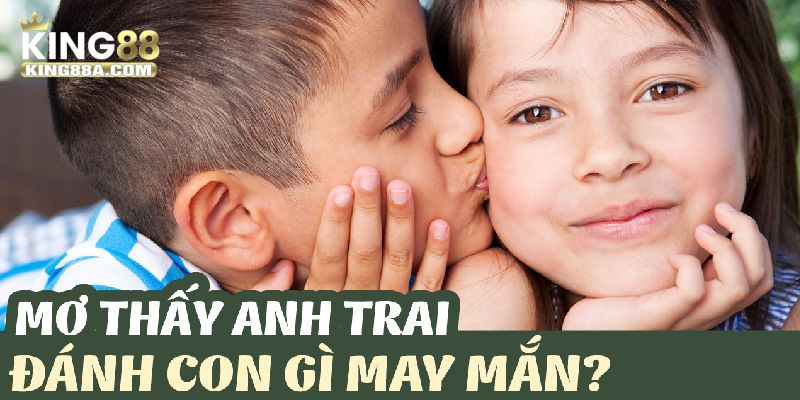 Mơ Thấy Anh Trai Ruột Đánh Con Gì? Bật Mí Con Số May Mắn