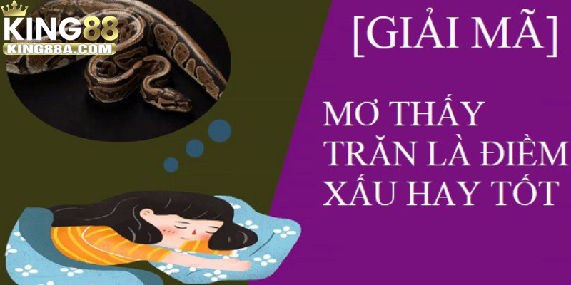 Khi mơ thấy trăn là tốt hay xấu