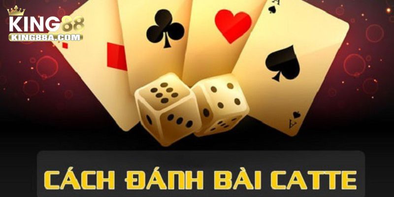 Hướng dẫn cách chơi Catte online đơn giản